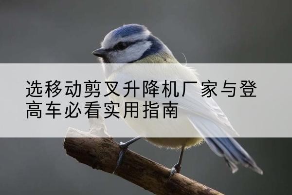 阳江电动升降机厂家-选移动剪叉升降机厂家与登高车必看实用指南