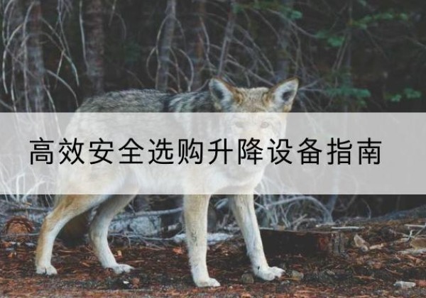 阳江升降货梯厂家推荐-*安全选购升降设备指南