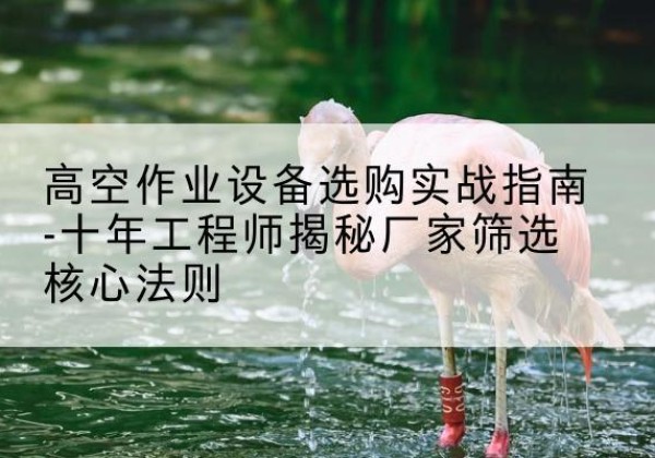 阳江剪叉式升降机厂家-高空作业设备选购实战指南-十年工程师揭秘厂家筛选核心法则